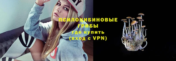 а пвп мука Аркадак