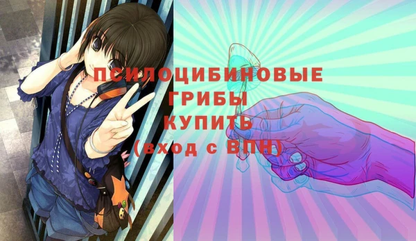 ПСИЛОЦИБИНОВЫЕ ГРИБЫ Армянск