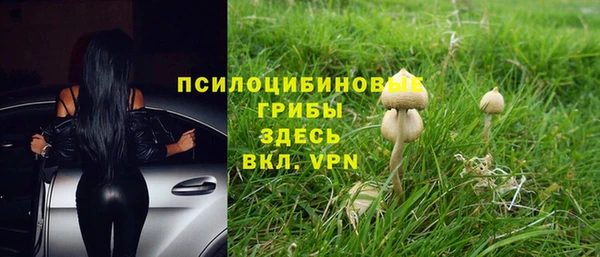 ПСИЛОЦИБИНОВЫЕ ГРИБЫ Армянск