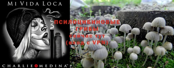 ПСИЛОЦИБИНОВЫЕ ГРИБЫ Армянск