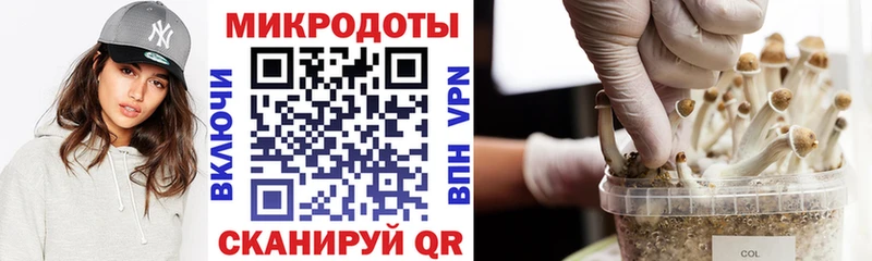 МЕГА маркетплейс  Тырныауз  сайты даркнета клад  купить   Галлюциногенные грибы Psilocybe 